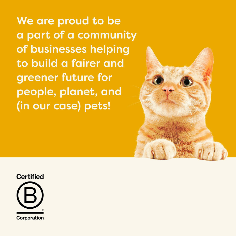 Applaws certificado B Corp, compromiso con planeta y bienestar felino.