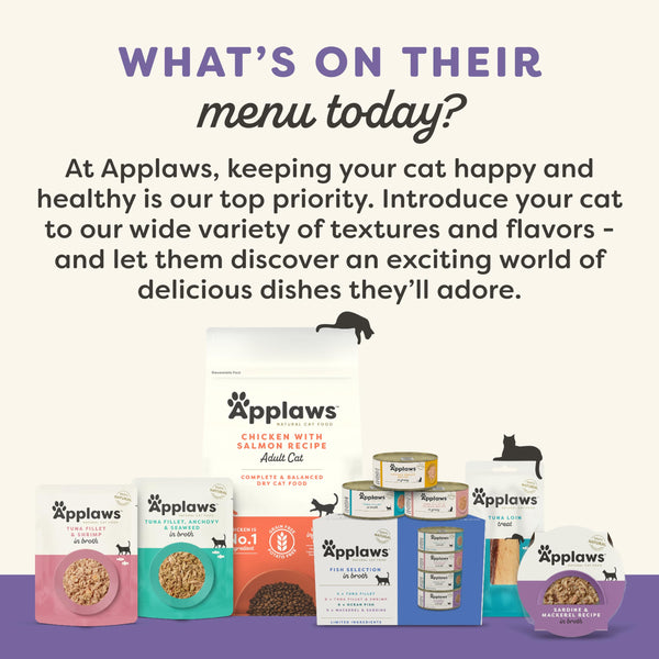 Applaws servir con alimento seco: complemento húmedo para la dieta diaria.