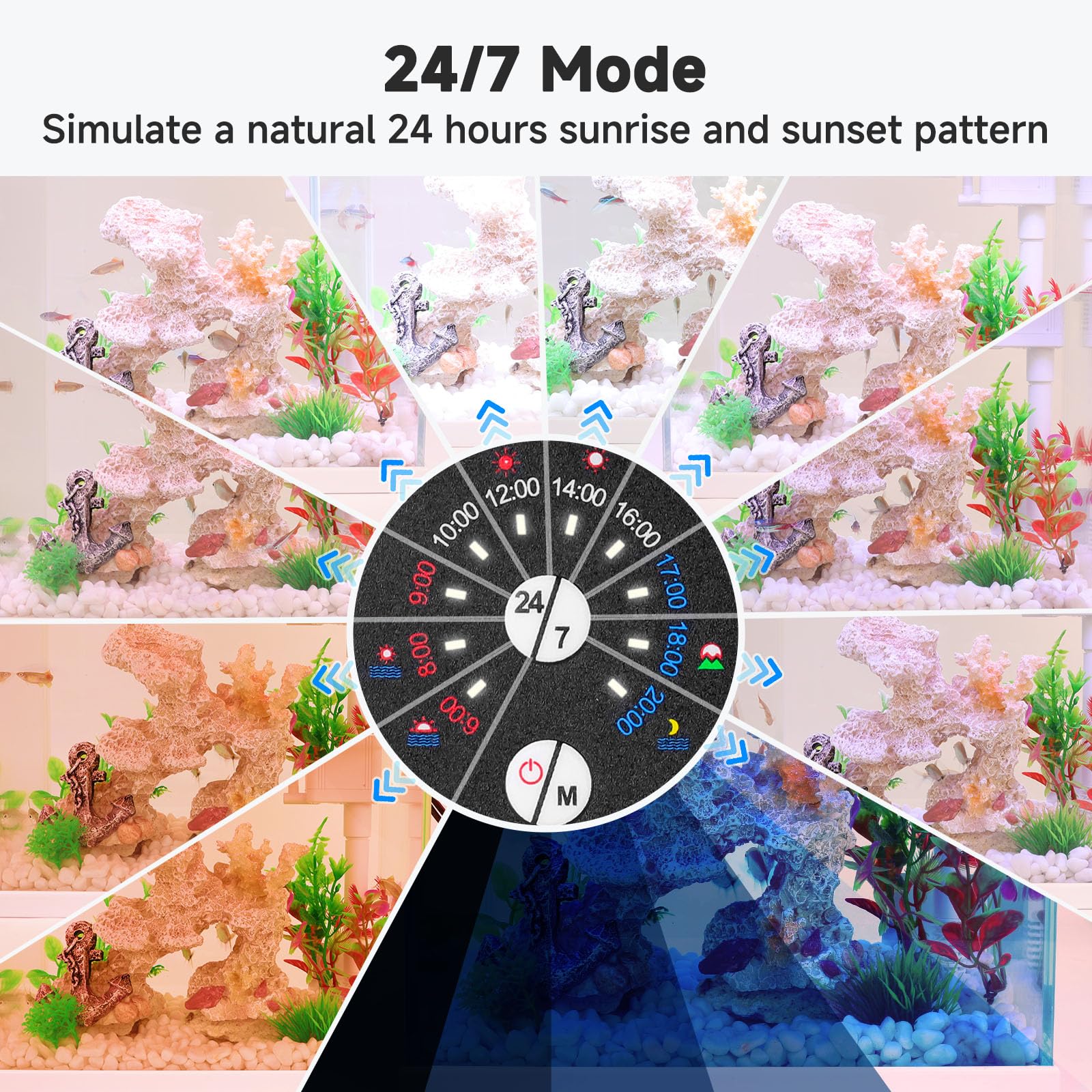 AQQA iluminación 24/7 para acuario, simula amanecer y atardecer.