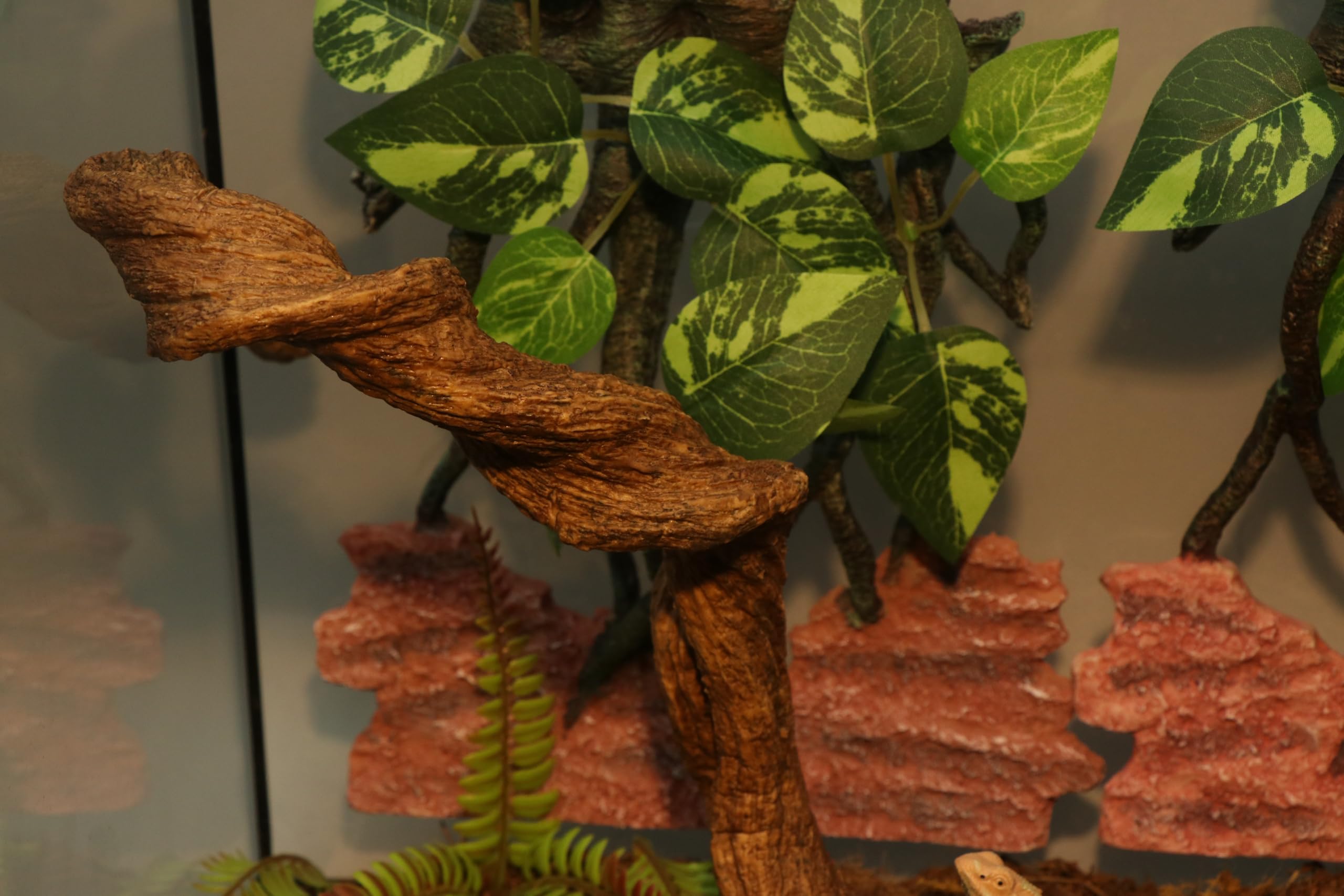 AQUA KT detalle visual rama torsion, añade interés y variedad al terrario.