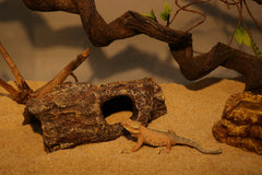 AQUA KT hueco arbol reptiles terrario, zona de descanso.