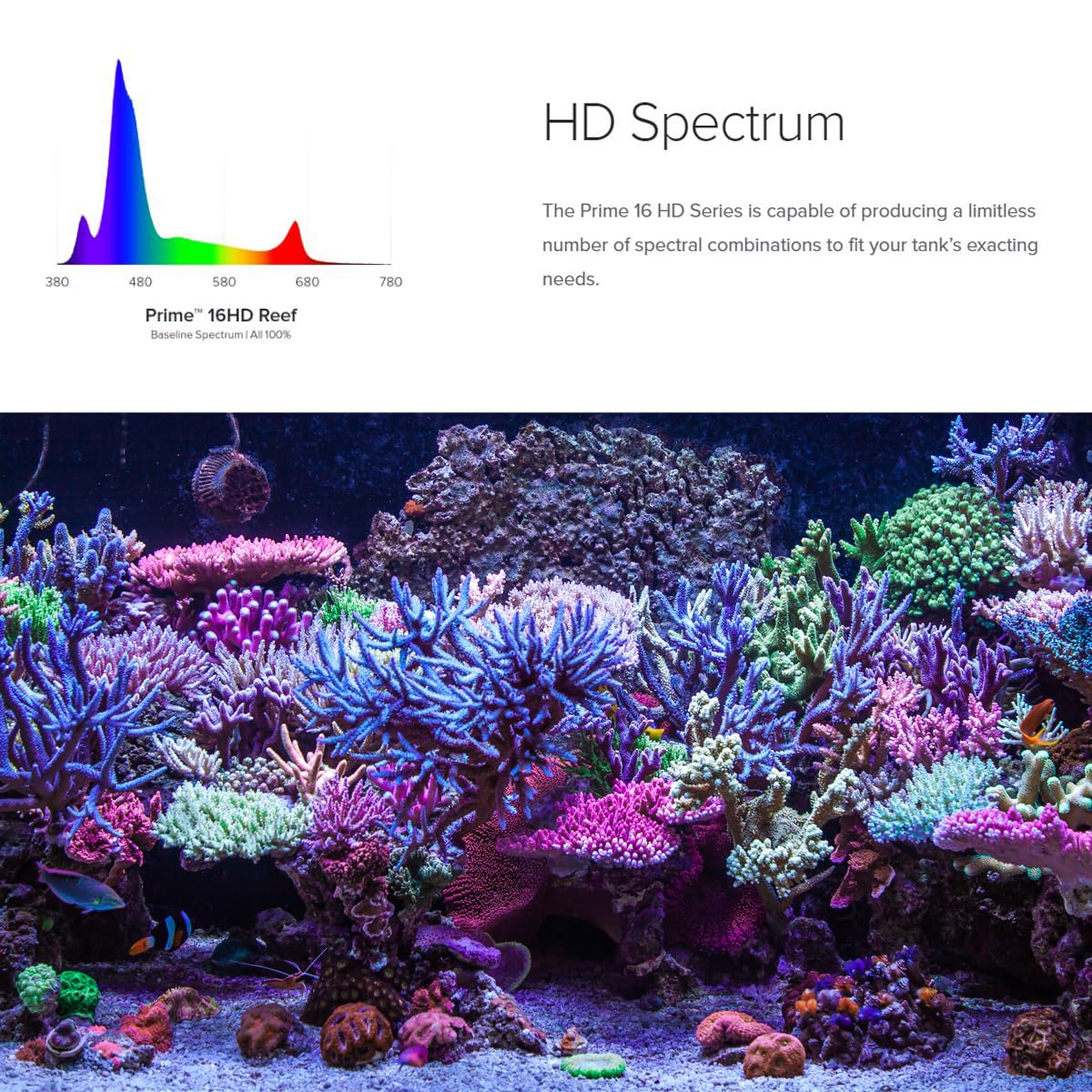 AquaIllumination Prime 16 HD controla de forma inalámbrica la iluminación para mayor flexibilidad.