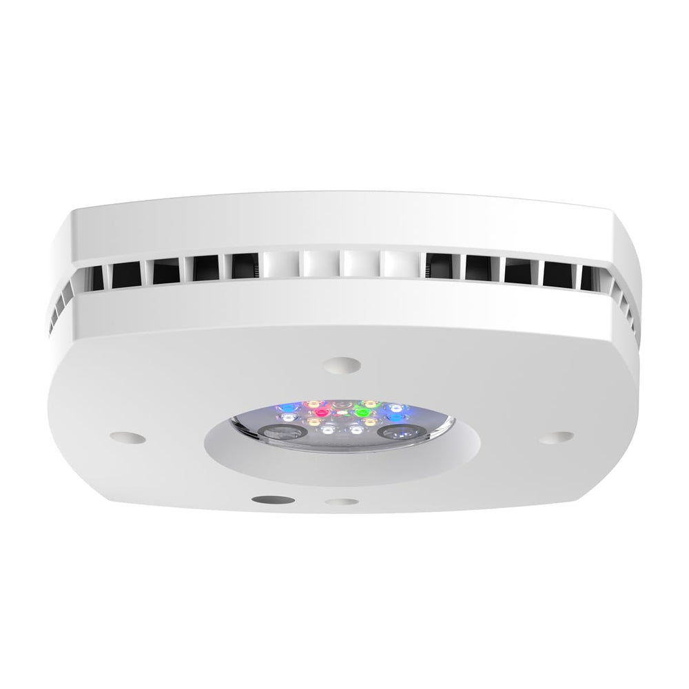 AquaIllumination Prime 16 HD ilumina el arrecife blanco para colores vivos.
