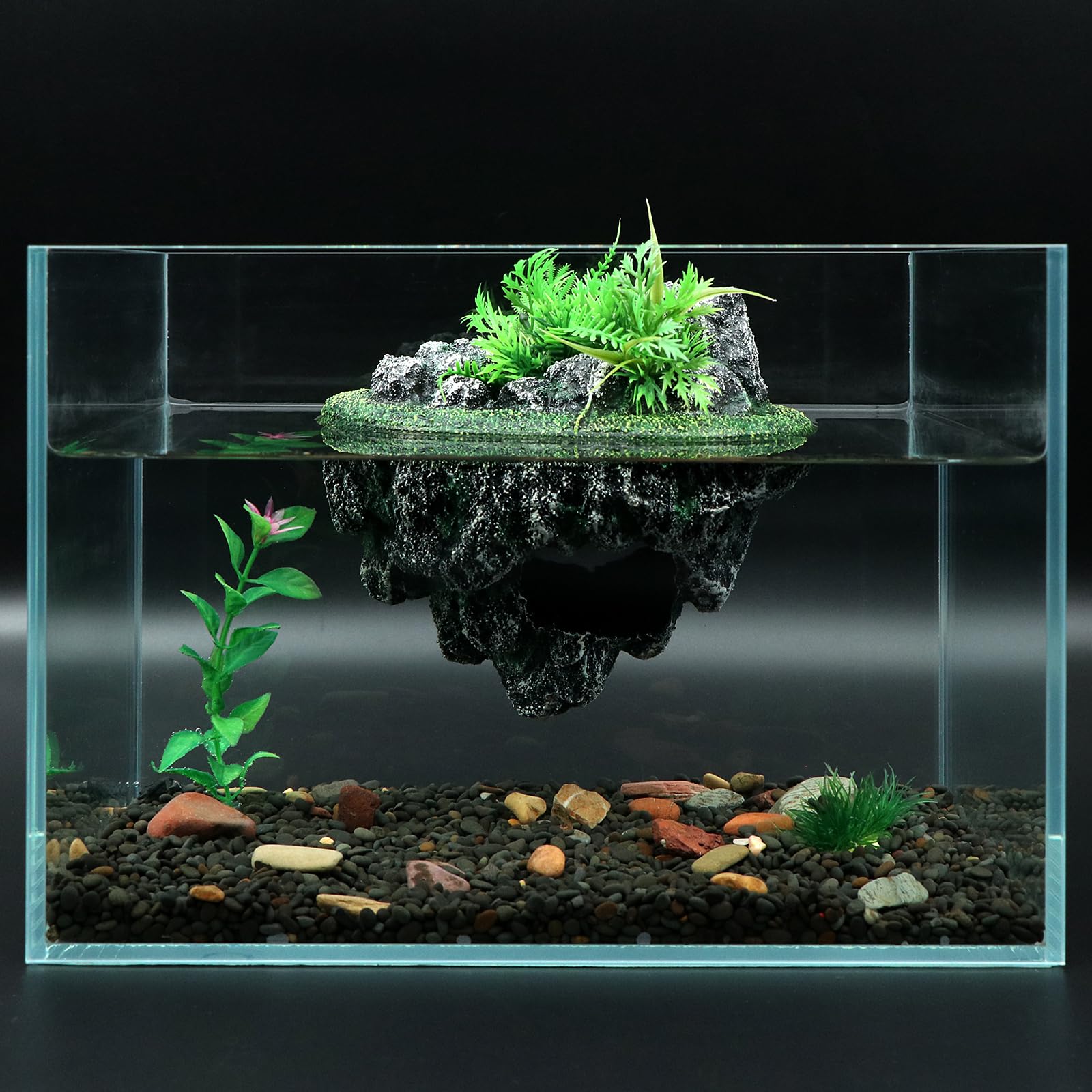 AQUA KT plataforma tortuga ambiente acuático natural, mejora la decoración