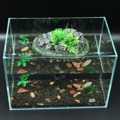 AQUA KT plataforma tortuga islote sol, fomenta tomar sol natural