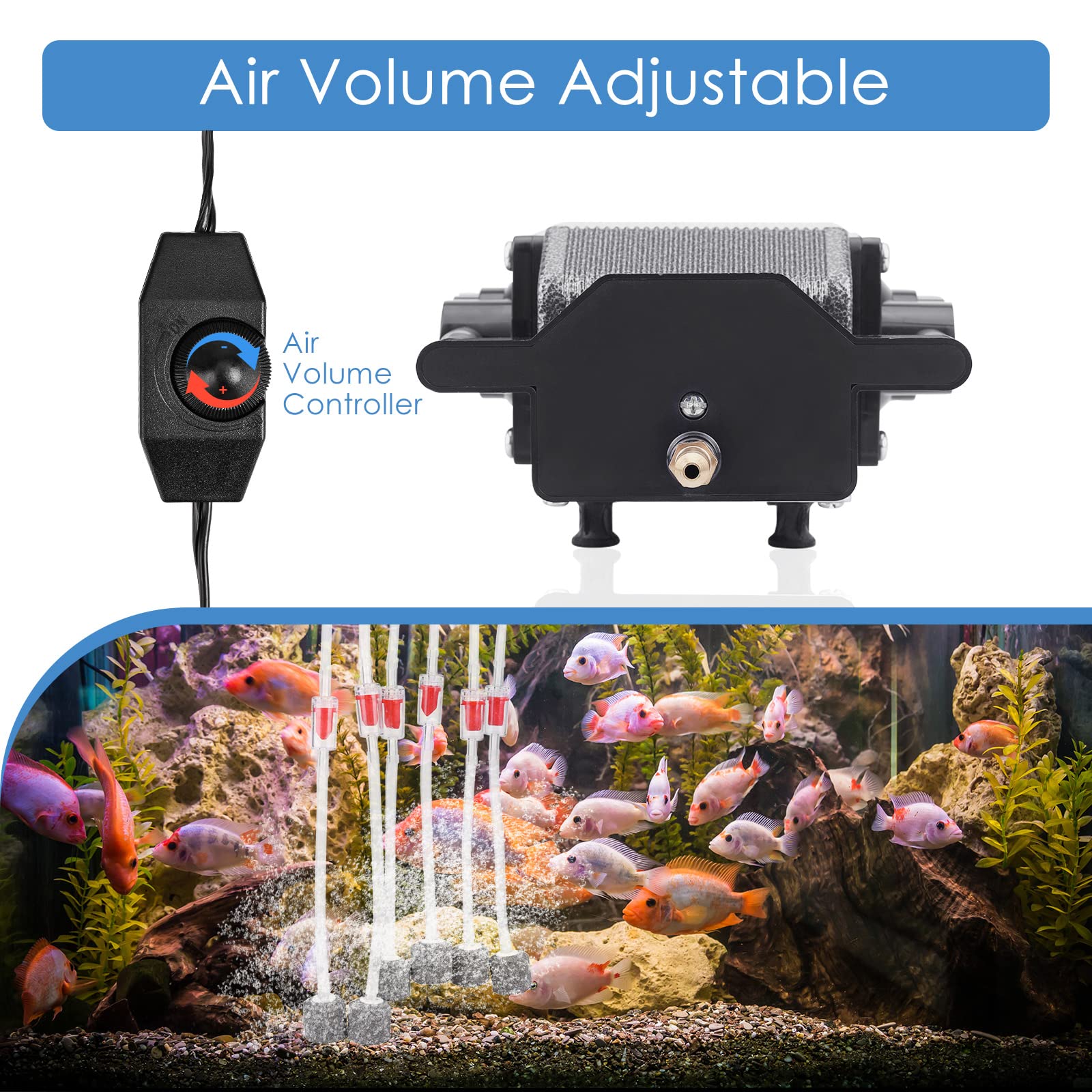 AquaMiracle soluciones de uso múltiple: acuario, estanque koi, hidroponía