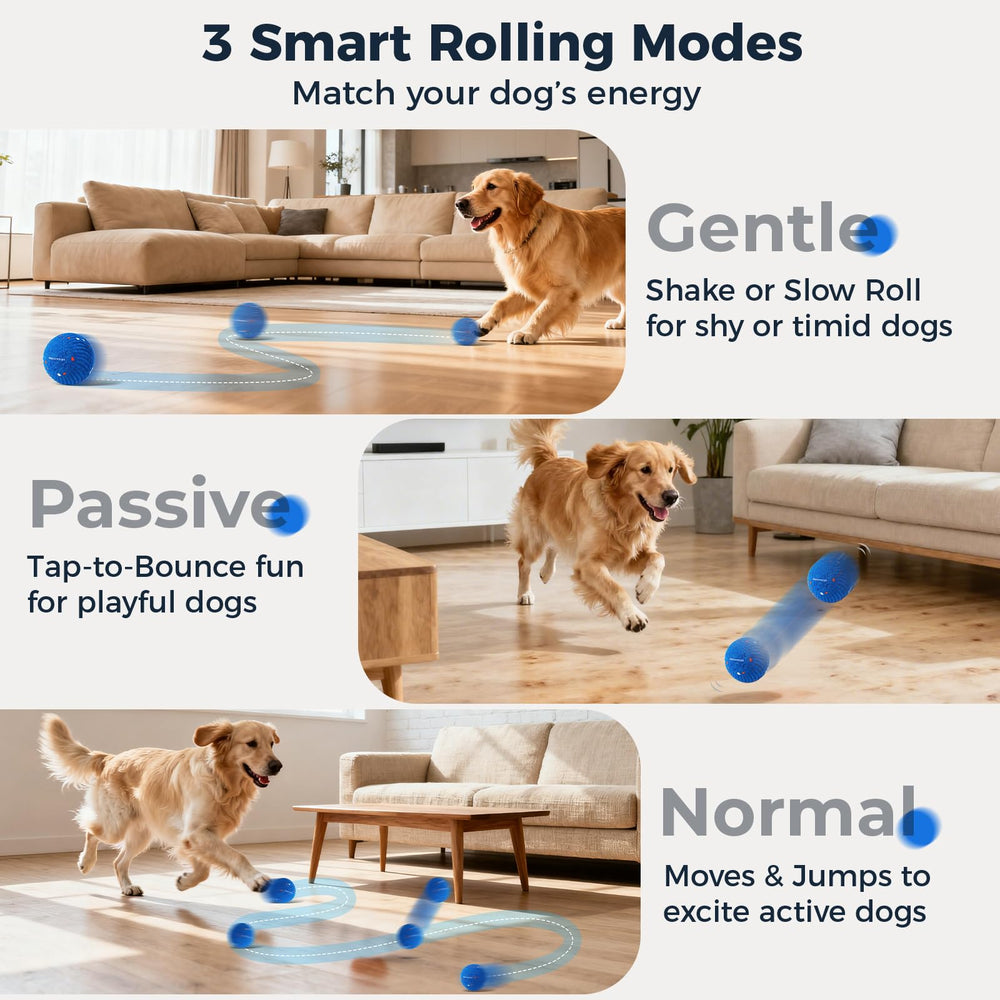 Pelota Aquamorph interactiva naranja para perros, ideal para sesiones dinámicas