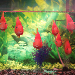 AQUANEAT paquete incluye dos criaderos listos para usar en segundos.