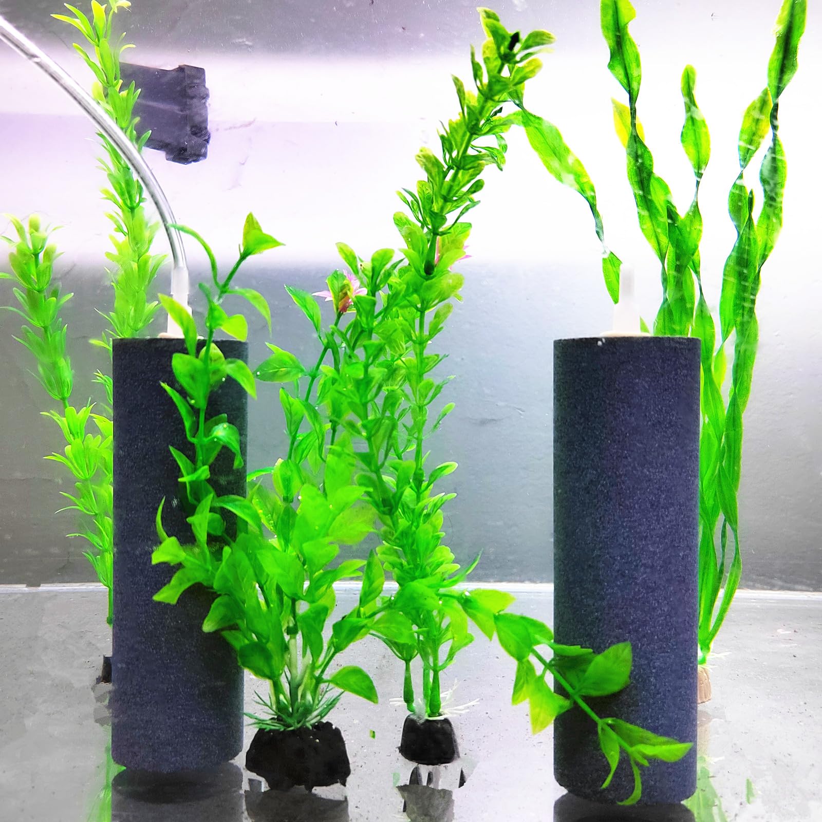 Uso en hidroponía AQUANEAT para oxigenación de soluciones nutritivas.