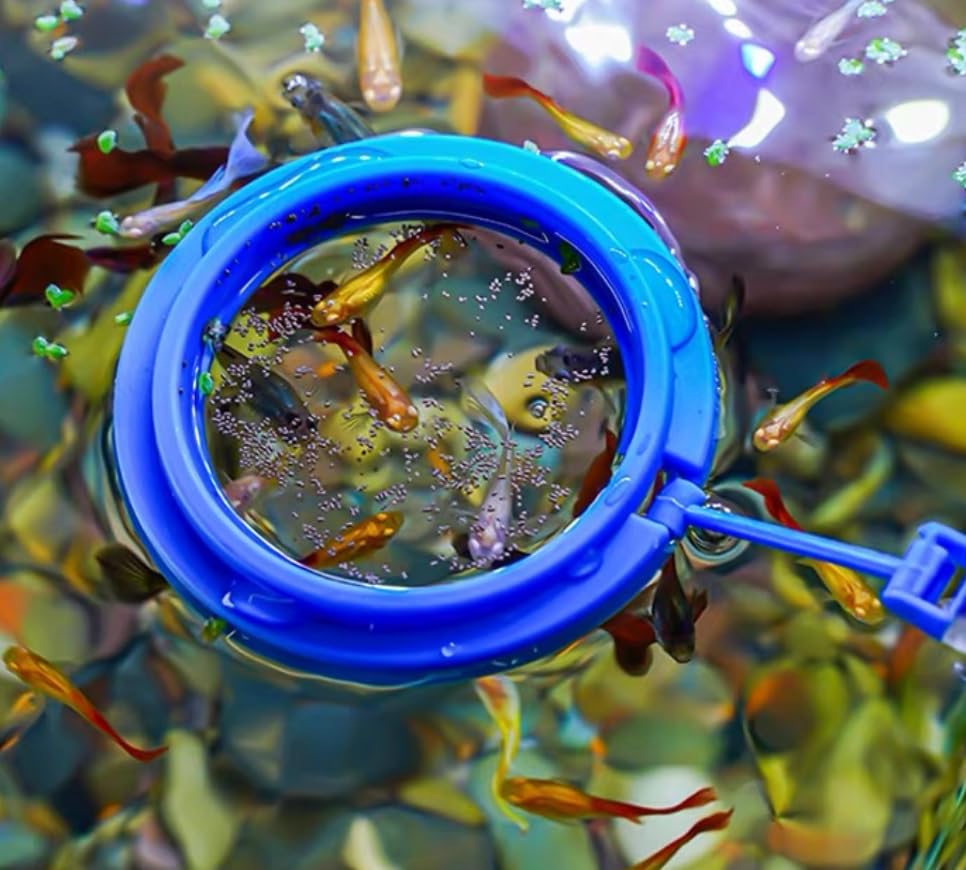 Anillo de alimentación Aquarium Choice 2,95 pulgadas, dosifica porciones exactas
