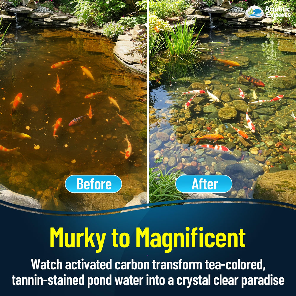 Aquatic Experts almohadilla carbón para filtros mejora la claridad del agua.