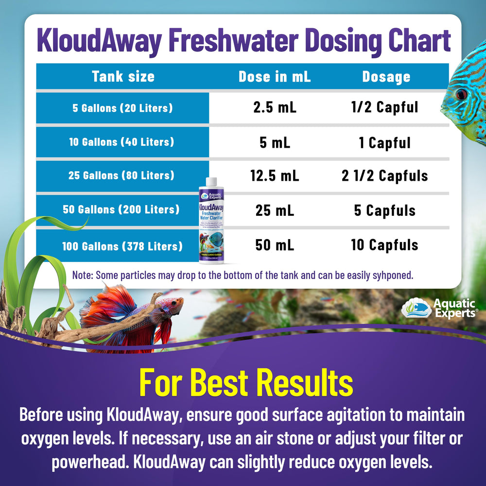 KloudAway Aquatic Experts, tanque dulce con agua clara.