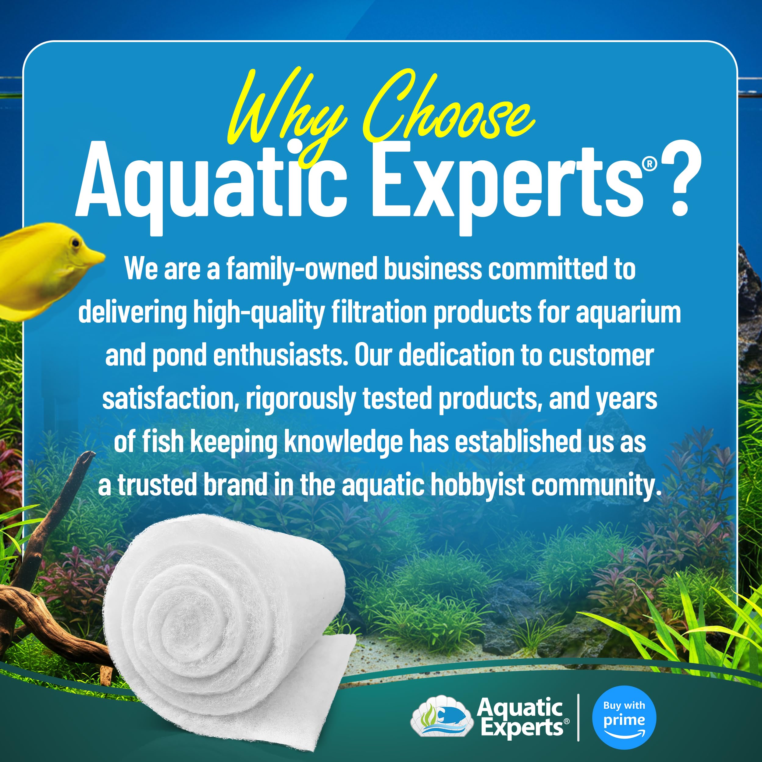 Aquatic Experts Paquete Valor 12 pulgadas; ahorro y rendimiento.