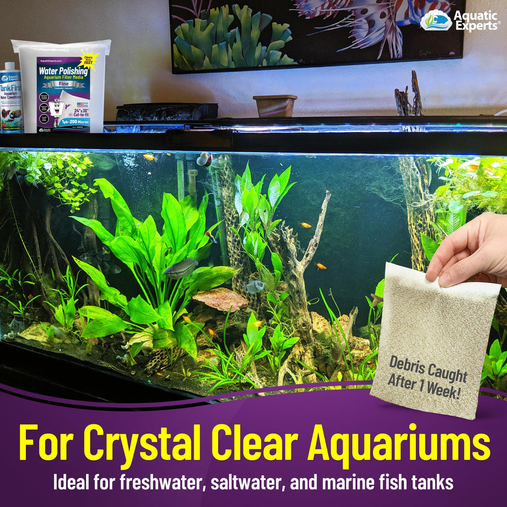 Aquatic Experts: uso multiuso en acuario para partículas finas.