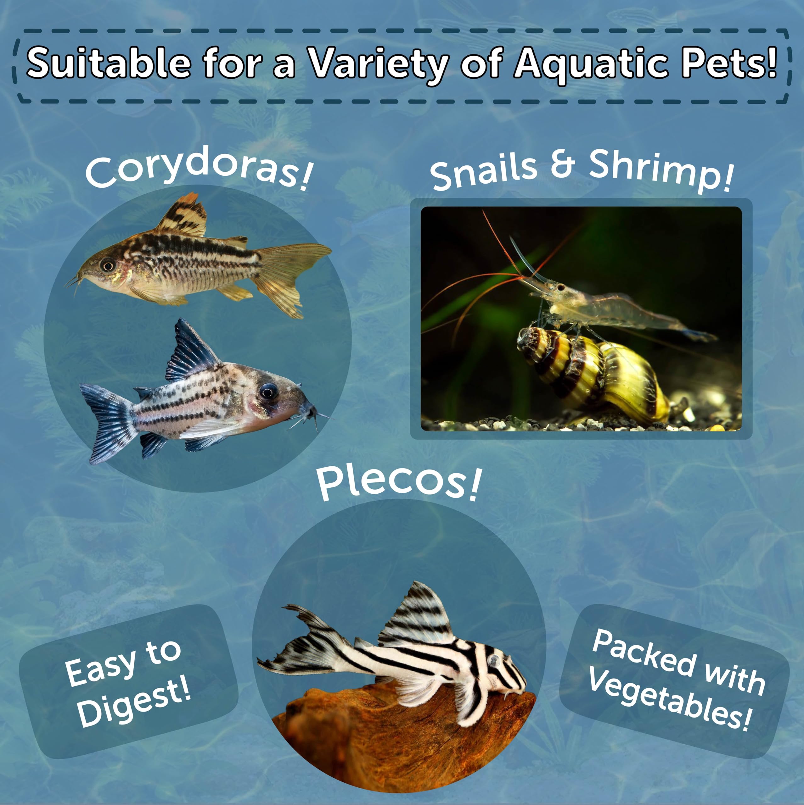 Aquatic Foods Inc. envase de 4,9 onzas con obleas hundiéndose para diferentes especies.
