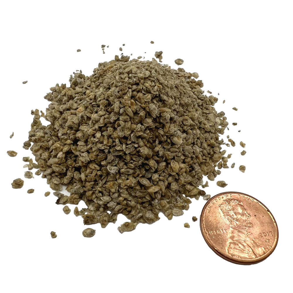 Aquatic Provisions Daphnia, sabor fresco que atrae a los peces.