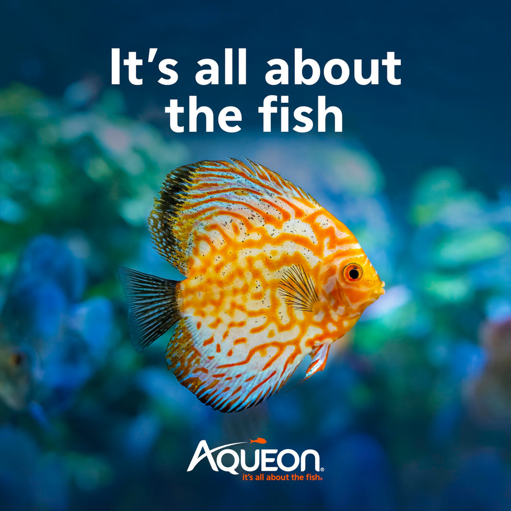 Aqueon AquaPacs ambiente acuático estable entorno equilibrado.