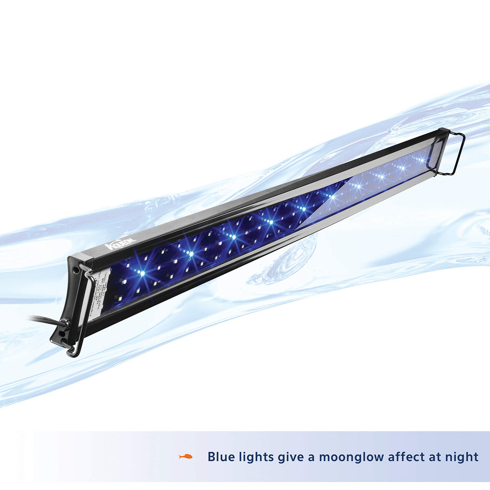 La iluminación azul luna de Aqueon OptiBright favorece una observación nocturna suave.