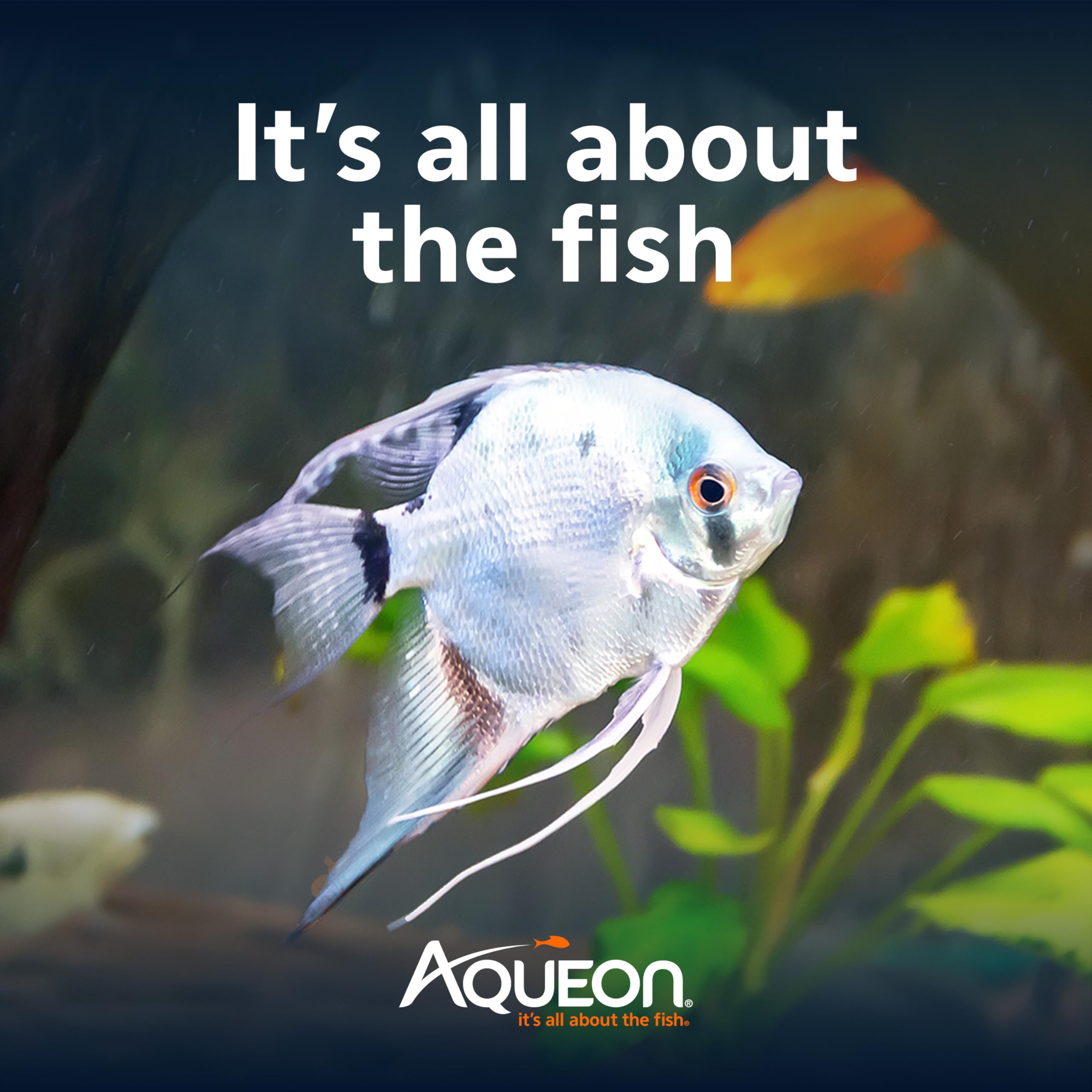 Accesorios esenciales para acuario en el kit Aqueon de 10 galones.