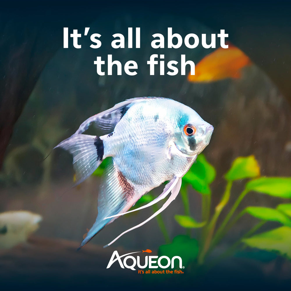 Accesorios esenciales para acuario en el kit Aqueon de 10 galones.