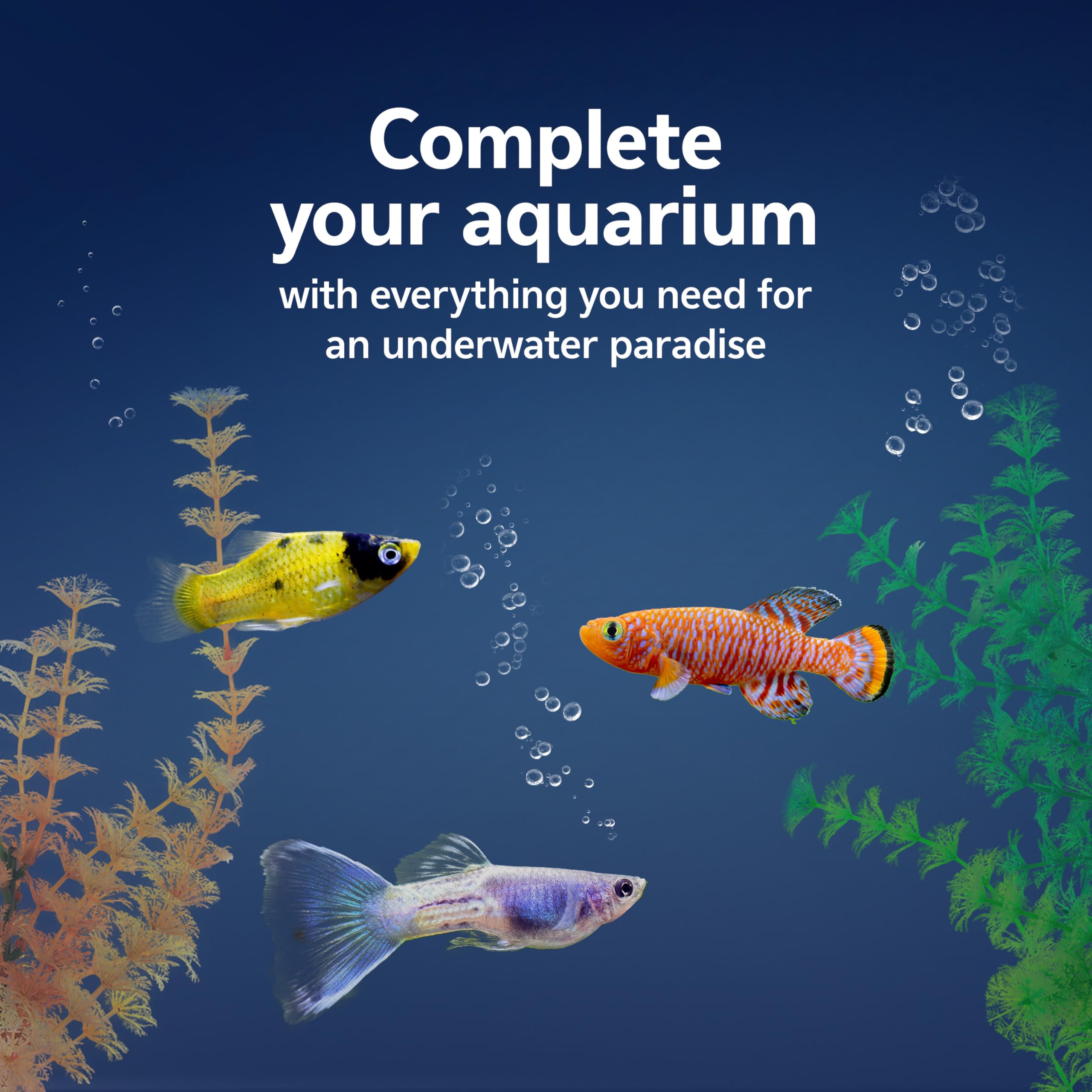 Termómetro de lectura rápida en el kit Aqueon para acuario de 10 galones.