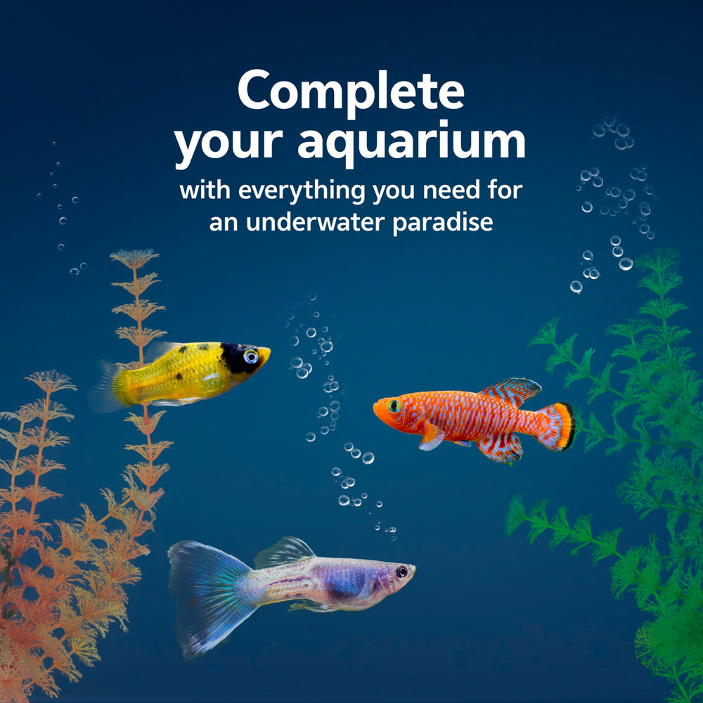 Termómetro de lectura rápida en el kit Aqueon para acuario de 10 galones.