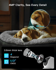 La ARENTI 5G con seguimiento automático captura movimientos de tu mascota con precisión.