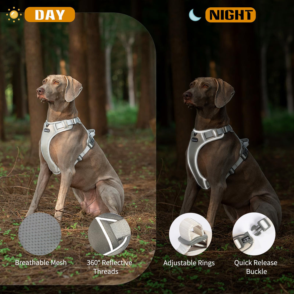 Aring Pet arnés con asa superior para control rápido y seguro.