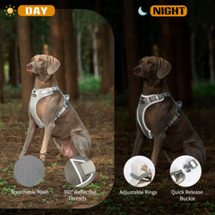 Aring Pet arnés con asa superior para control rápido y seguro.