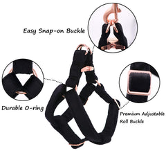 Aring Pet arnés de terciopelo con webbing de algodón, duradero para uso diario