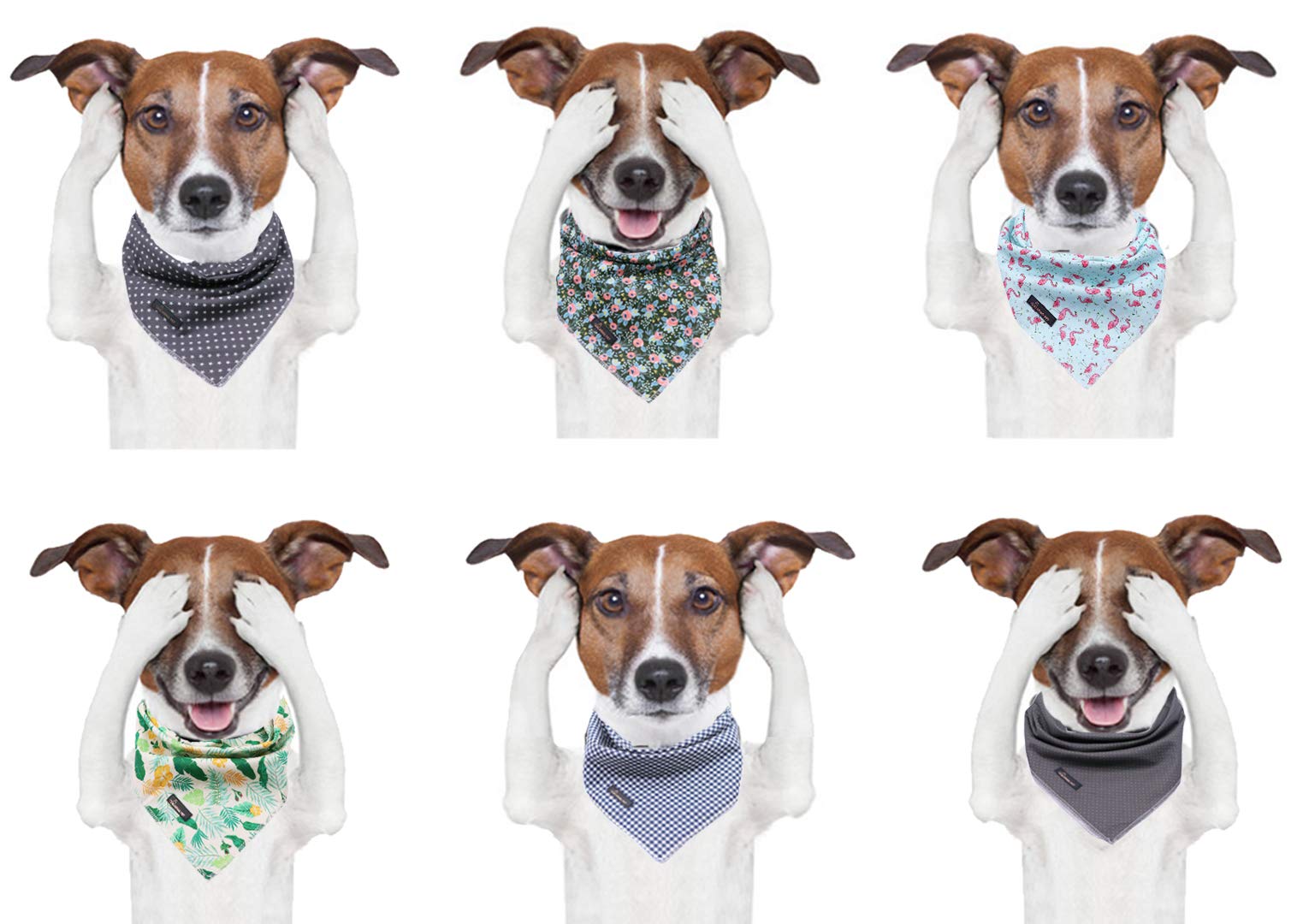 Aring pet bandana con dibujo flamenco azul, añade estilo en sesiones de fotos.
