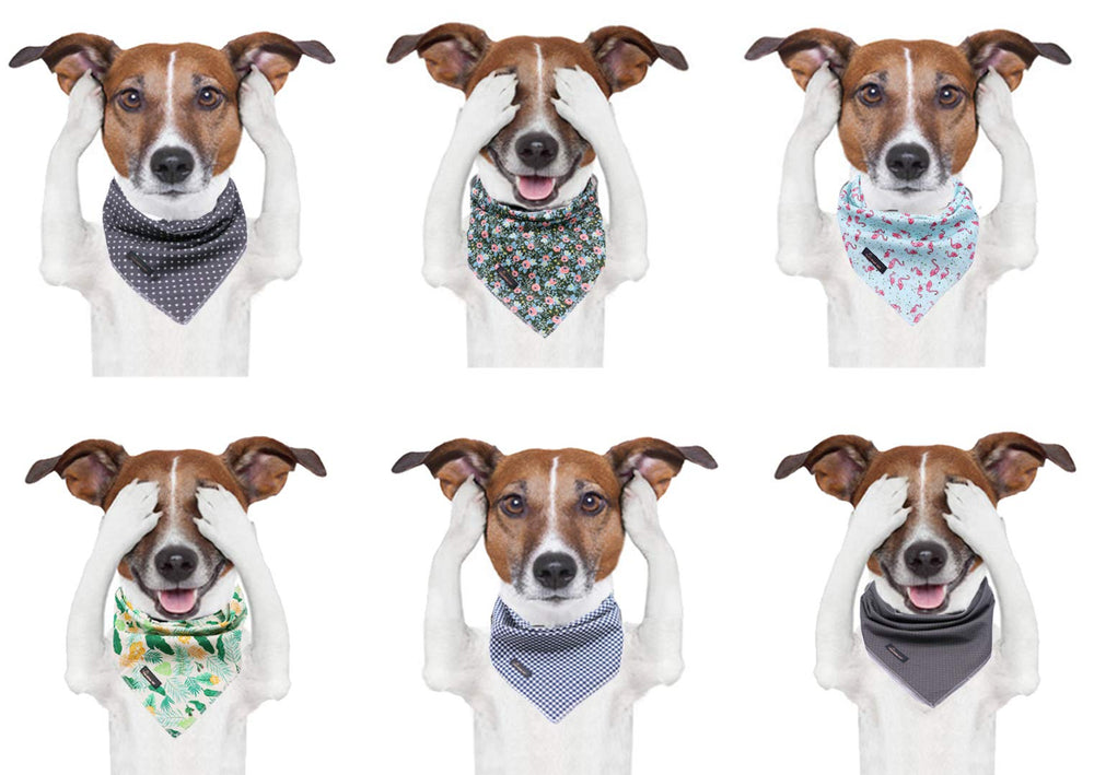 Aring pet bandana con dibujo flamenco azul, añade estilo en sesiones de fotos.