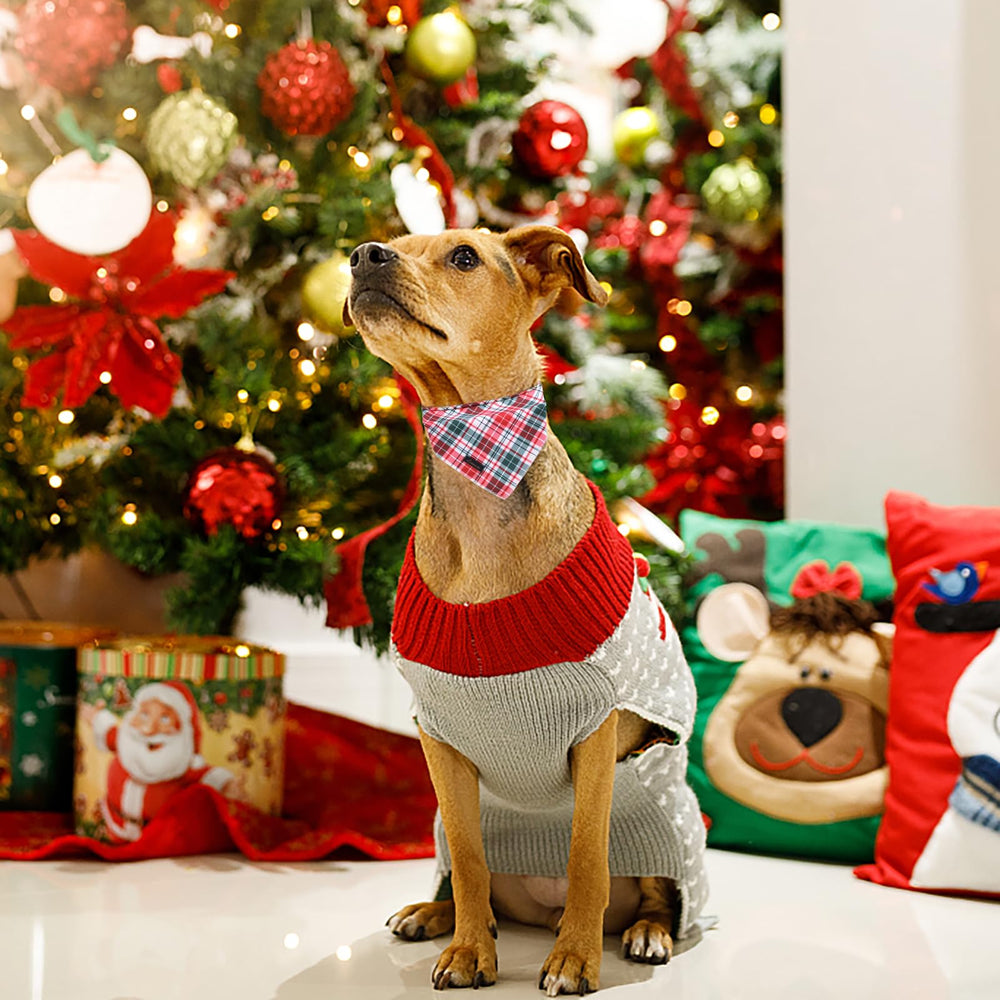Aring Pet bandana de algodón suave, cómoda para paseos y fiestas.