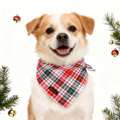 Ideal para encuentros y fiestas: bandana navideña para perros de ARING PET.