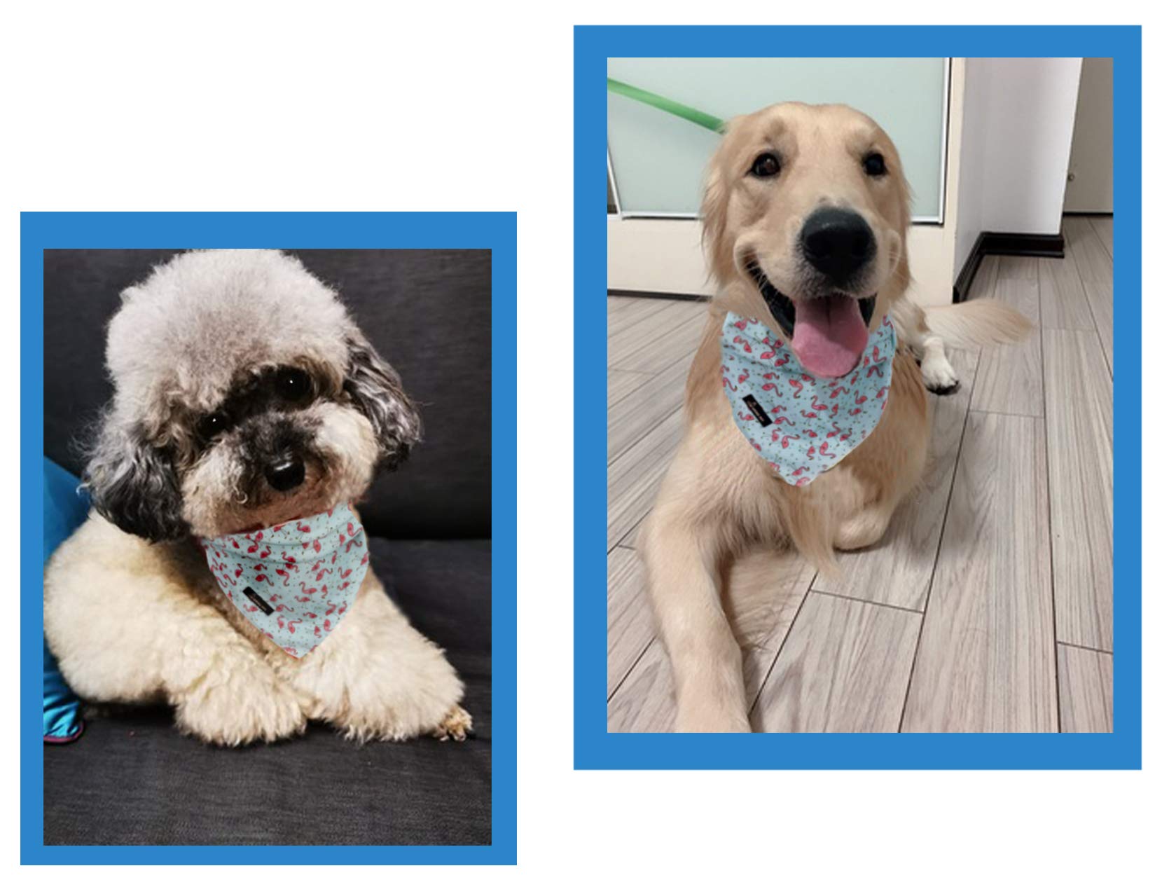 Aring pet bandana uso diario para perro azul, fácil de lavar.