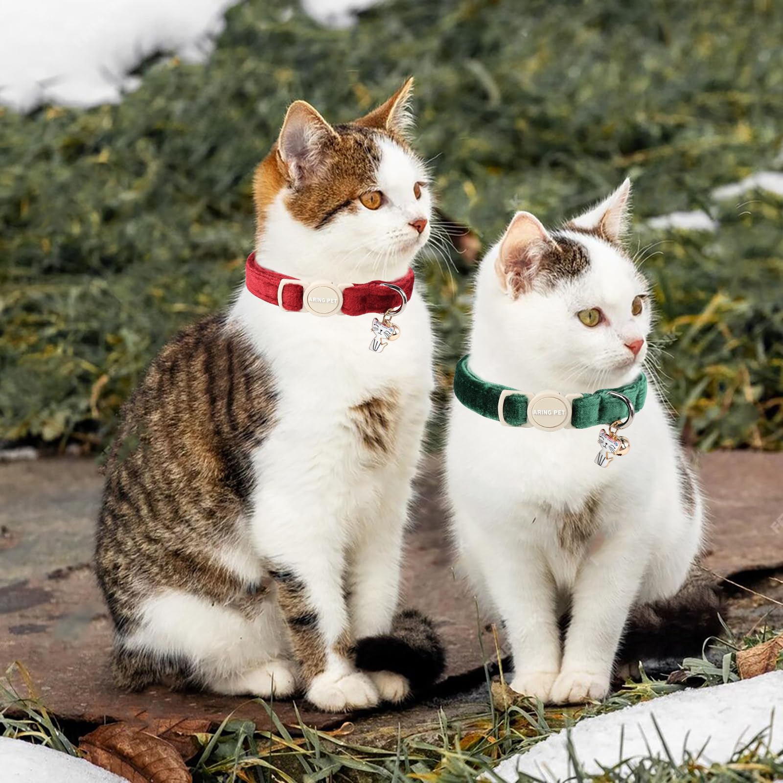 Collar Aring pet ajustable para gatos, fácil de adaptar y cómodo.