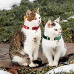 Collar Aring pet ajustable para gatos, fácil de adaptar y cómodo.