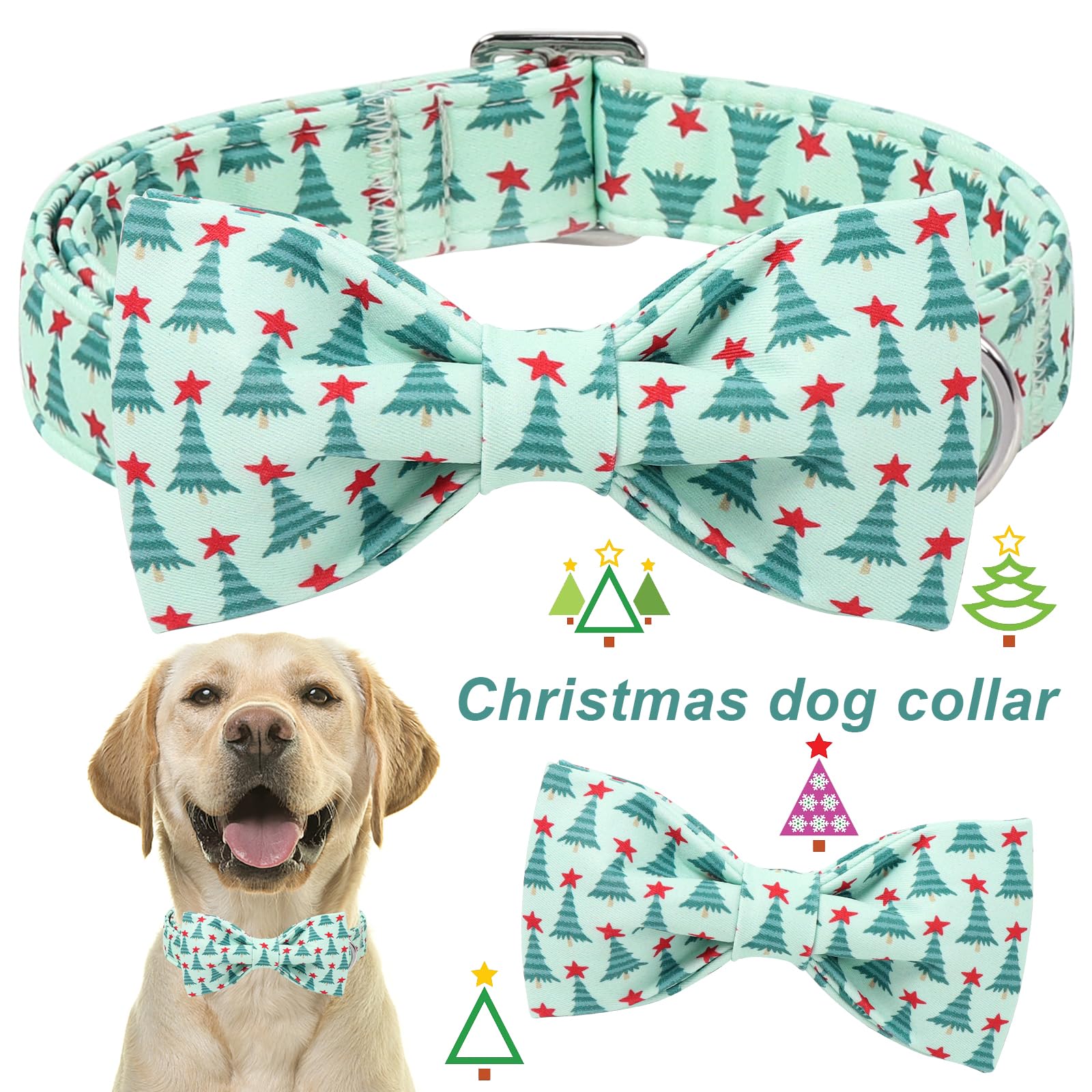 Collar ajustable Aring Pet para un ajuste cómodo en perros.