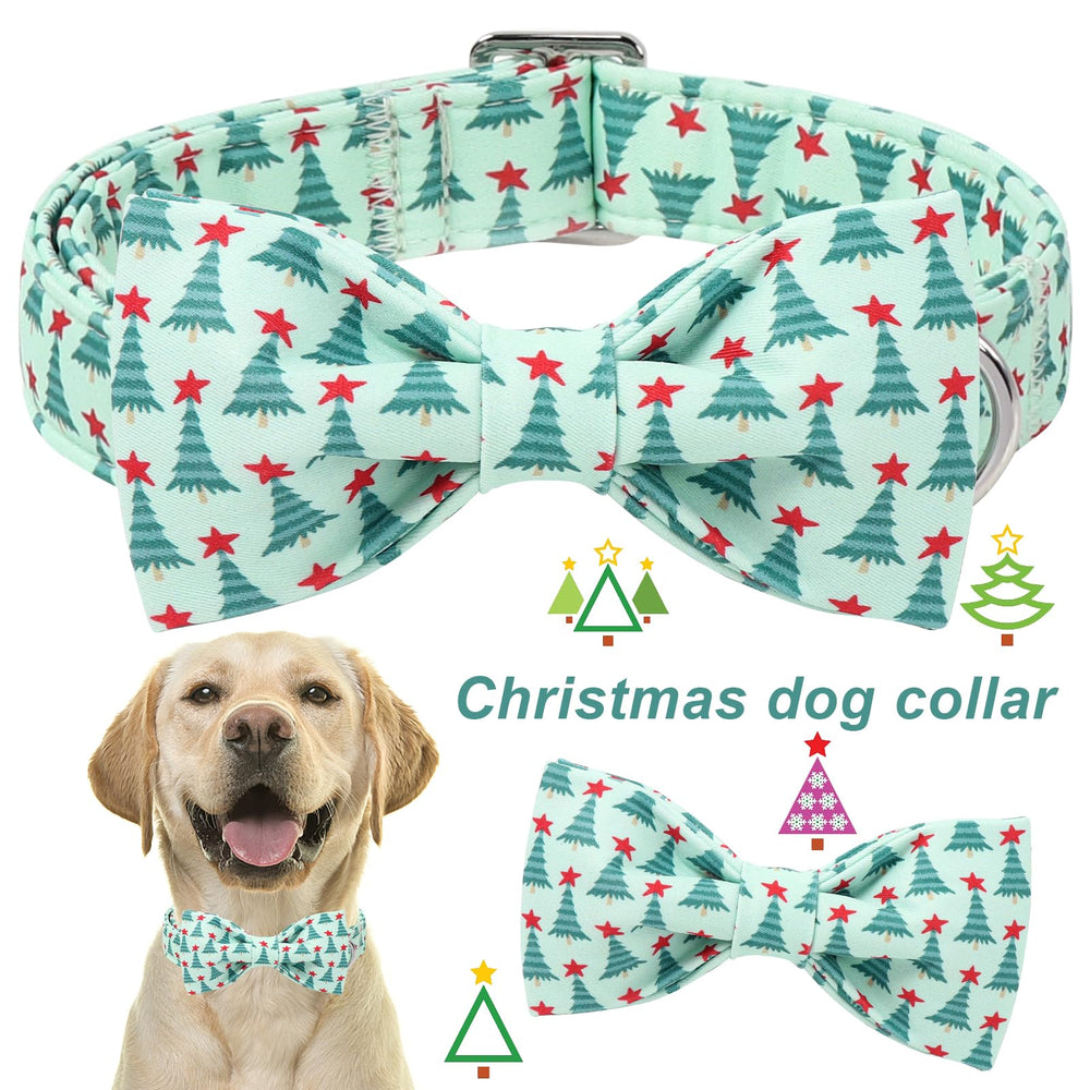 Collar ajustable Aring Pet para un ajuste cómodo en perros.
