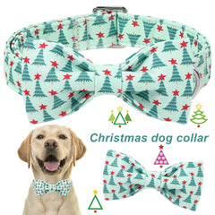 Collar ajustable Aring Pet para un ajuste cómodo en perros.