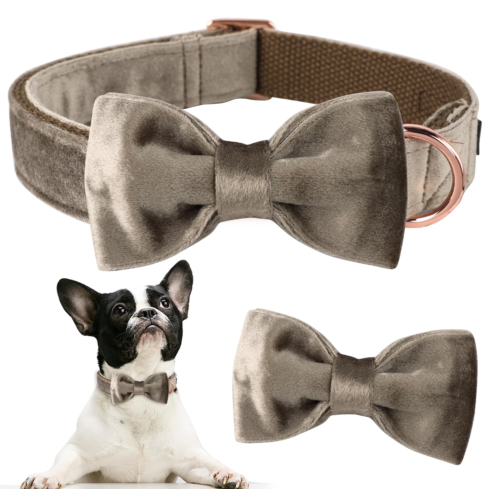 Aring Pet collar con ajuste por deslizador para comodidad diaria.