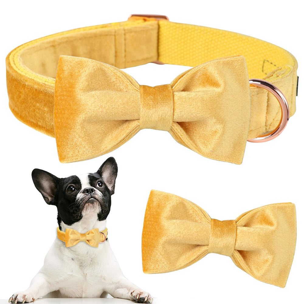 Aring pet collar con anilla en D y cierre metálico duradero