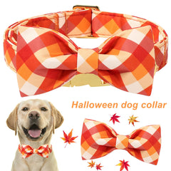 Aring pet collar naranja con cierre rápido para ajuste cómodo.
