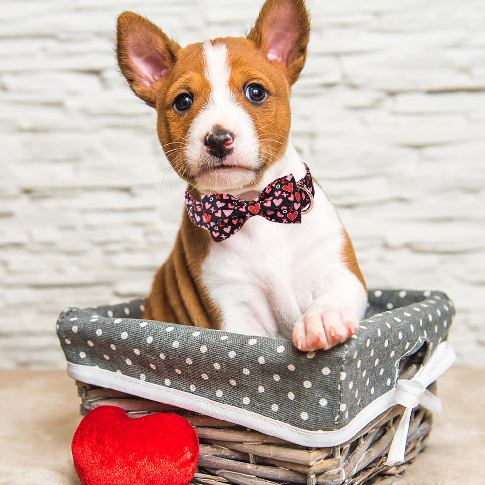 Diseño Aring Pet collar con lazo rojo, perfecto para eventos.