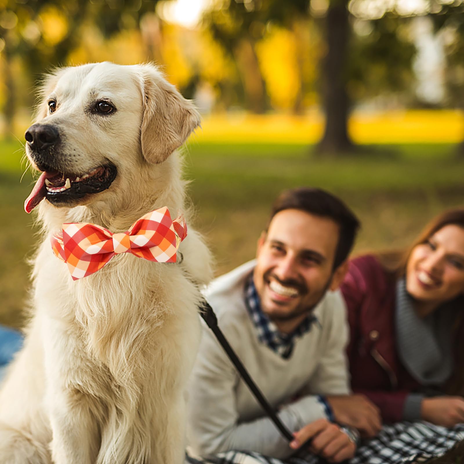 Aring pet collar fácil de limpiar, ideal para uso diario.