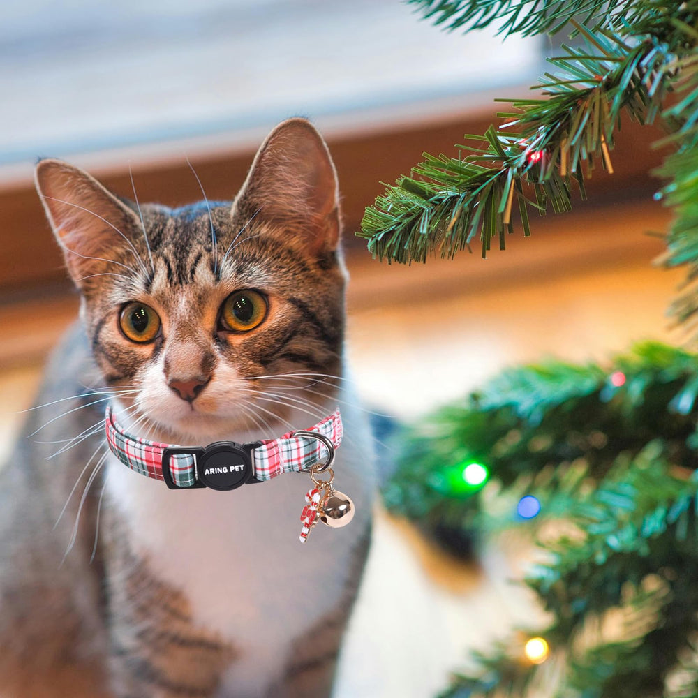 Collar Aring Pet papa-noel, estilo navideño para sesiones de fotos.