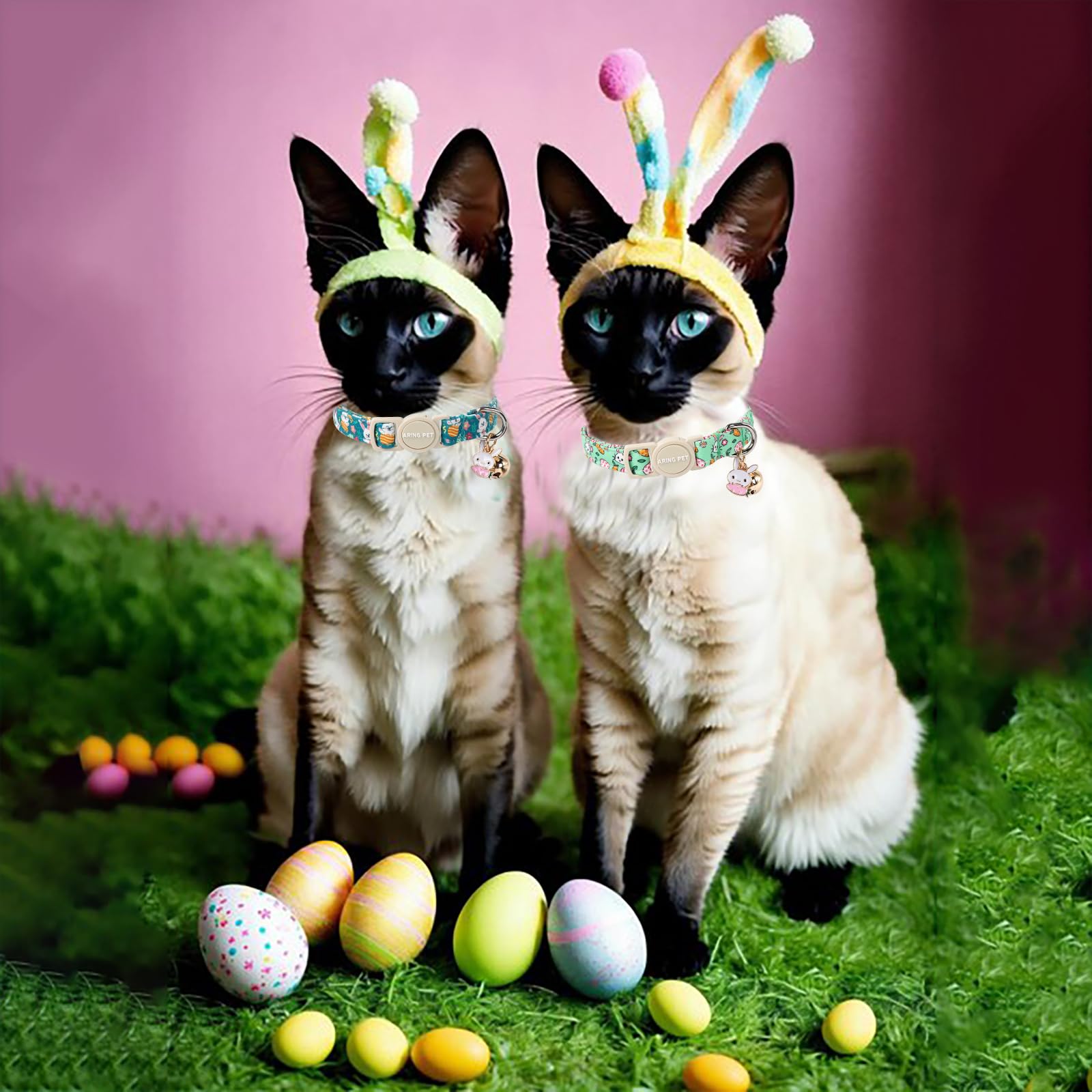 Uso diario y fiestas con collar Aring Pet para gatos.