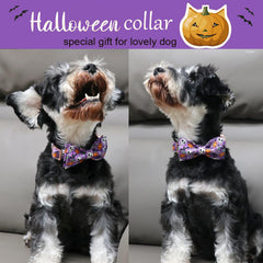 Collar Aring Pet de algodón suave para mascotas sensibles