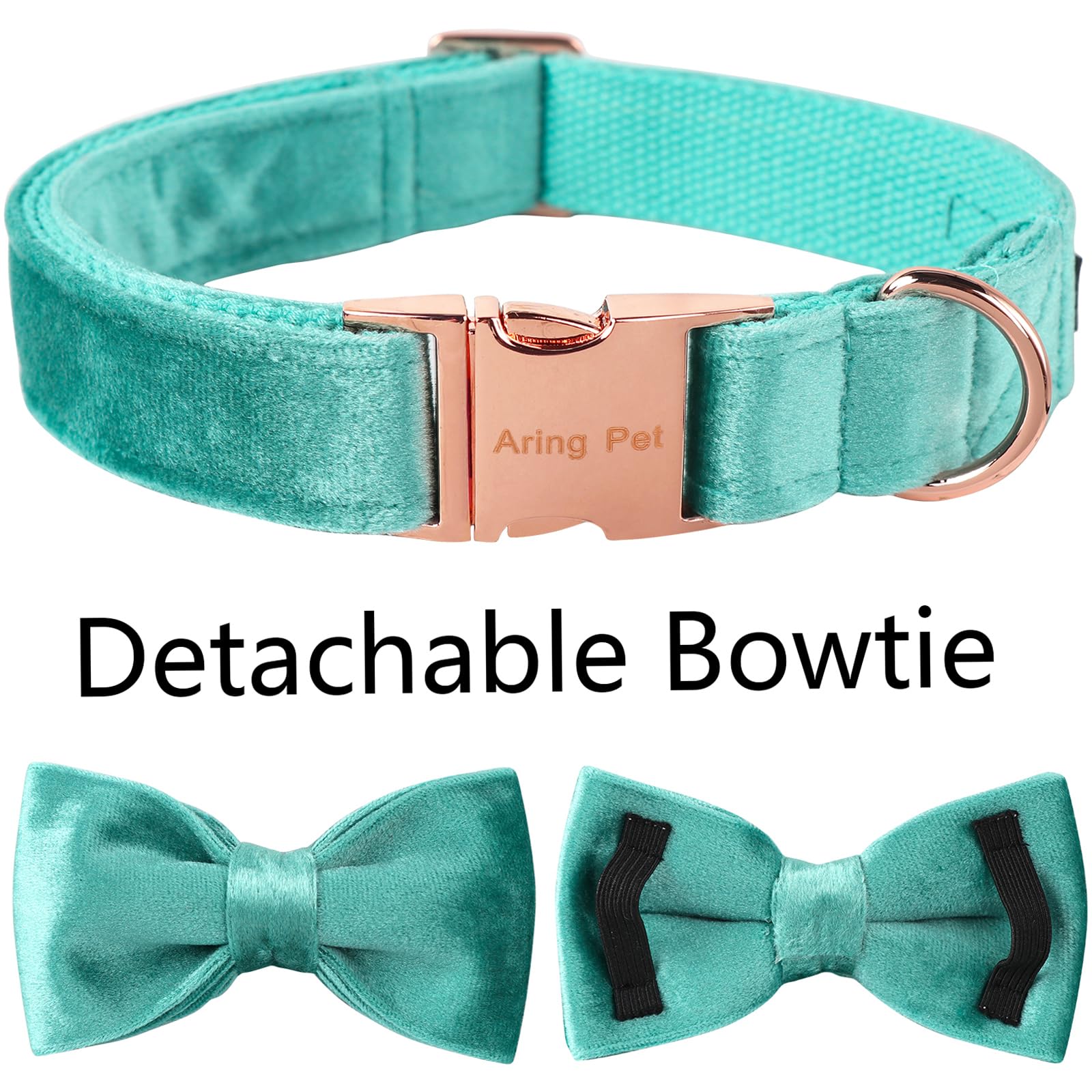 Aring Pet collar con hebilla de clip resistente para ajuste seguro