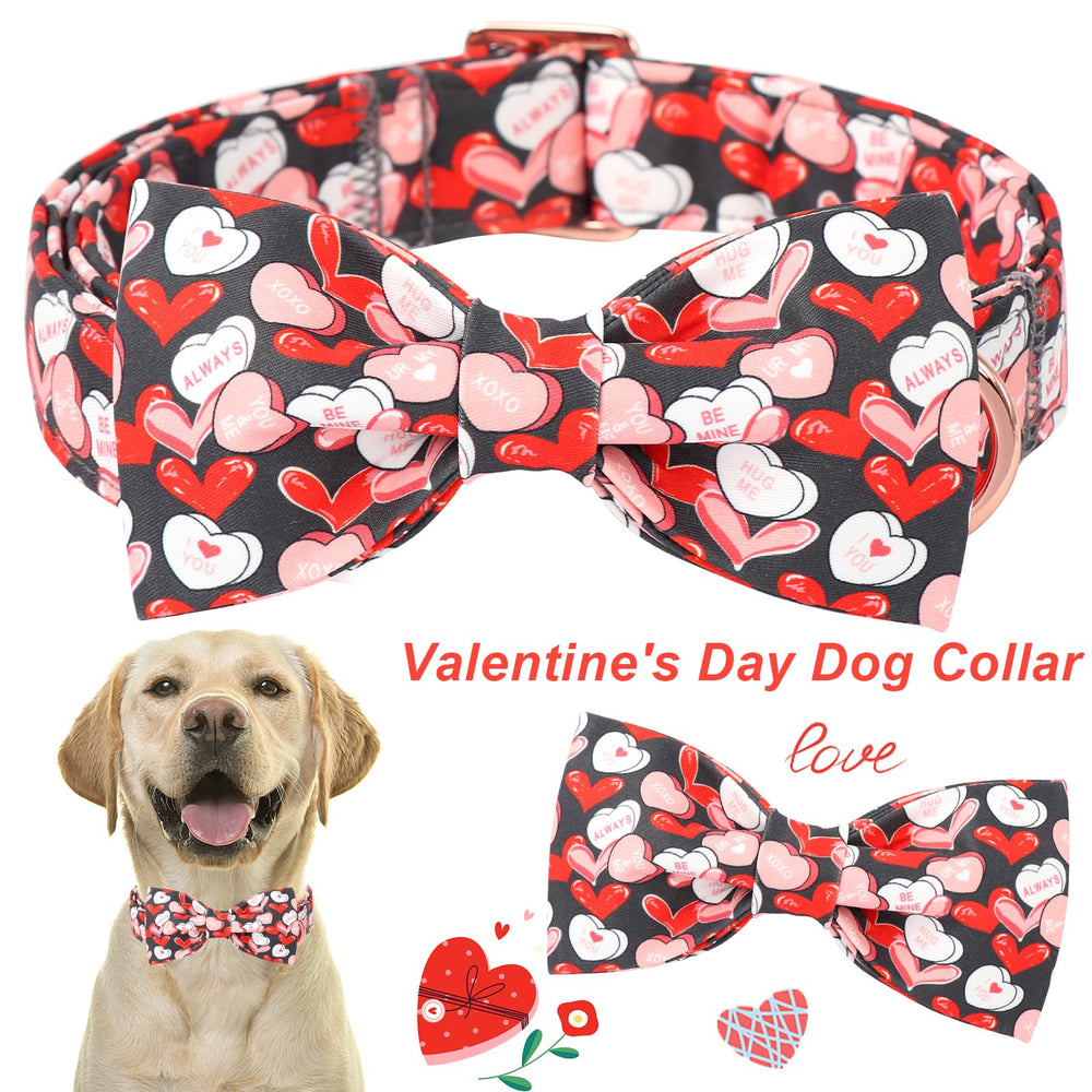 Aring PET collar con hebilla plástica ajustable para colocar y quitar fácilmente